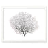 black sea fan white landscape frame